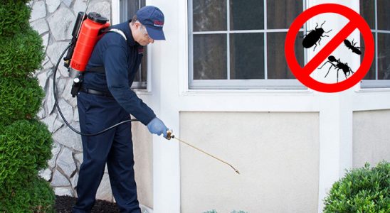 Kadınhanı Böcek İlaçlama böcek ilaçlama ve haşere kontrolü — ilaclama-tr.com